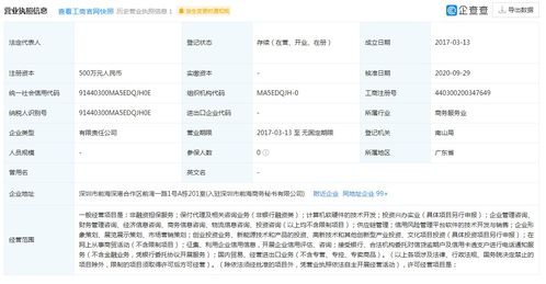 非融資性擔保集團特批字號轉讓及計算機軟硬件的技術開發(fā)業(yè)務